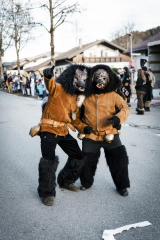 Arnach D Schoaf - Böck getrieben auf dem 2. Dämmersprung (Faschingsumzug)